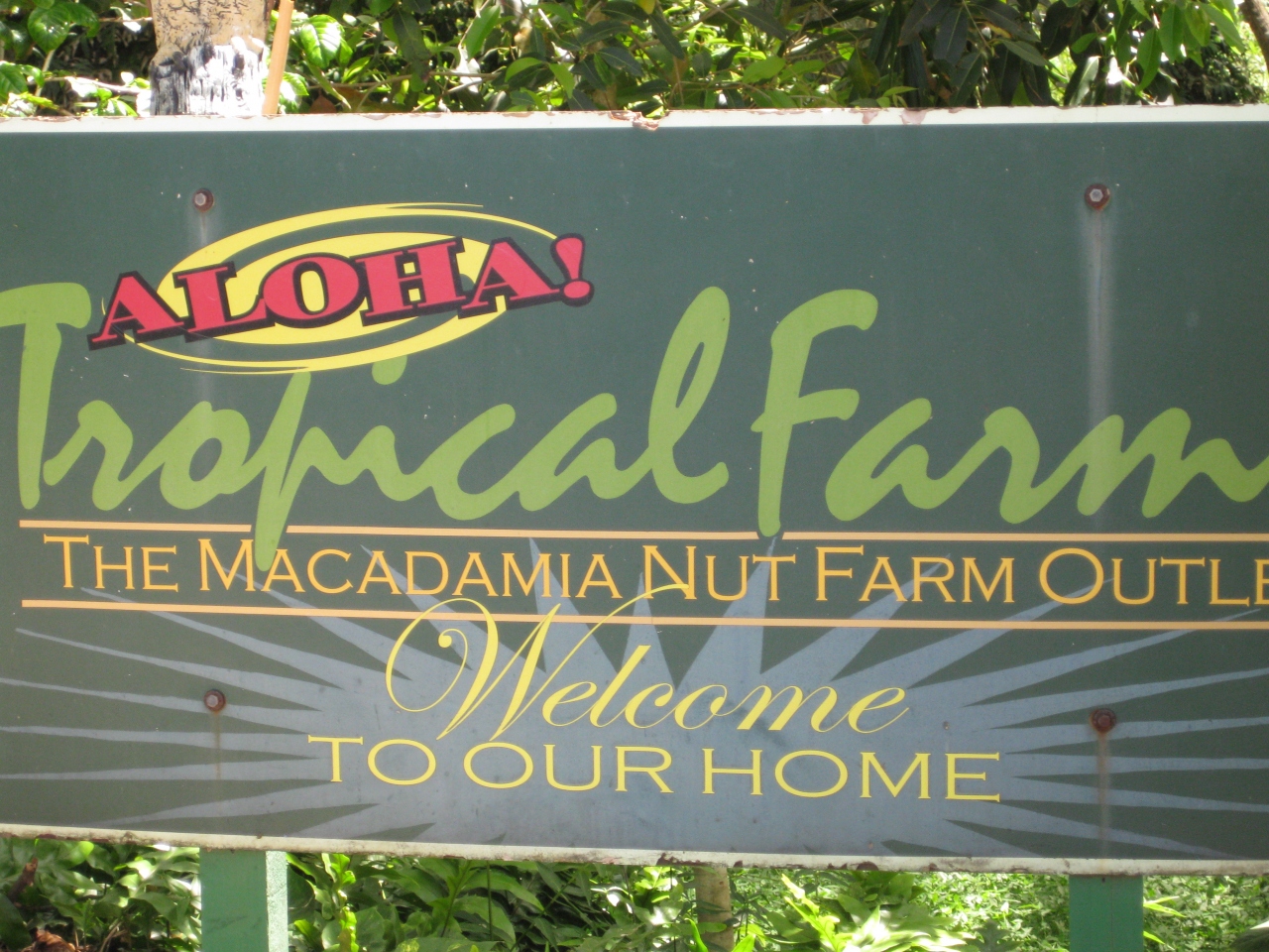 トロピカルファーム (マカダミアナッツファームアウトレット) クチコミガイド【フォートラベル】Tropical Farms