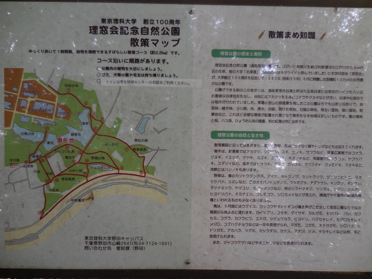 理窓会記念自然公園 クチコミガイド【フォートラベル】野田・関宿
