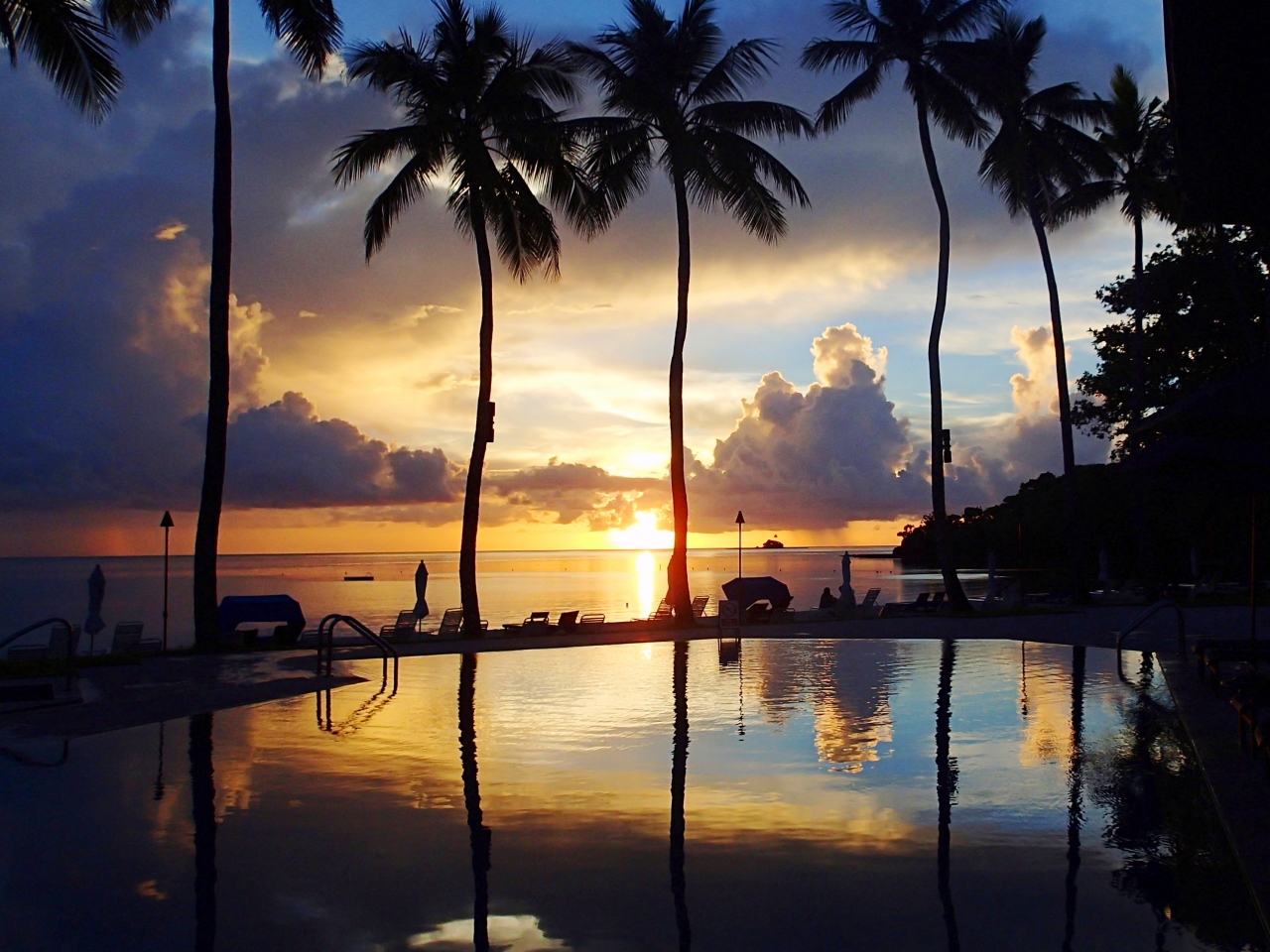 ココナッツ・テラス・レストラン クチコミガイド【フォートラベル】Coconut Terrace Restaurantパラオ