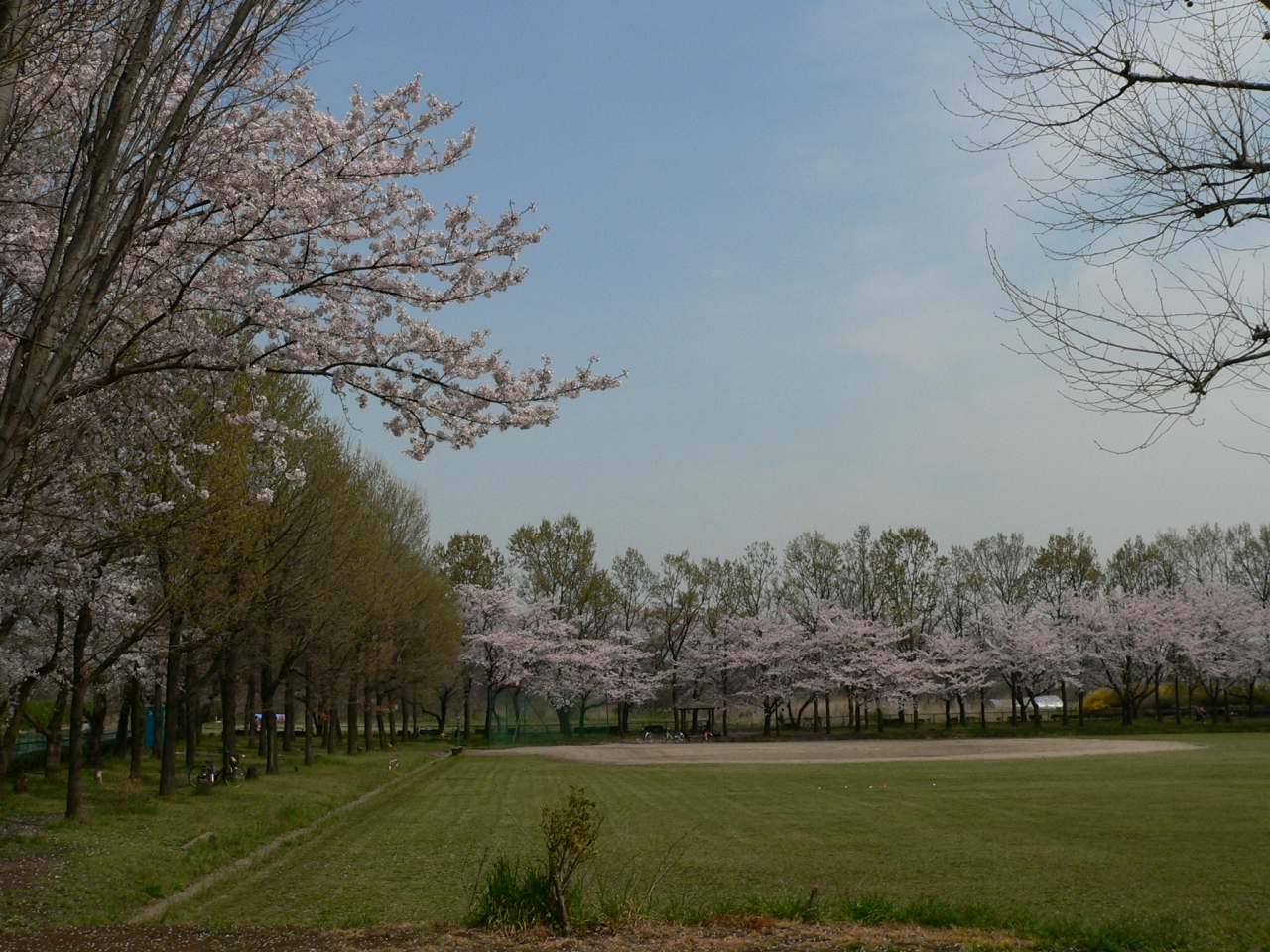 10 東浦 和 大間 木 公園 2025