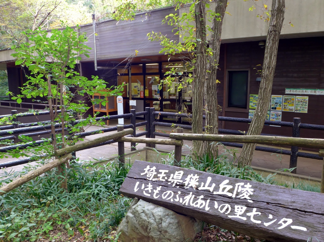 埼玉県狭山丘陵いきものふれあいの里センター クチコミガイド【フォートラベル】所沢 埼玉県狭山丘陵いきものふれあいの里センター クチコミガイド【フォートラベル】所沢