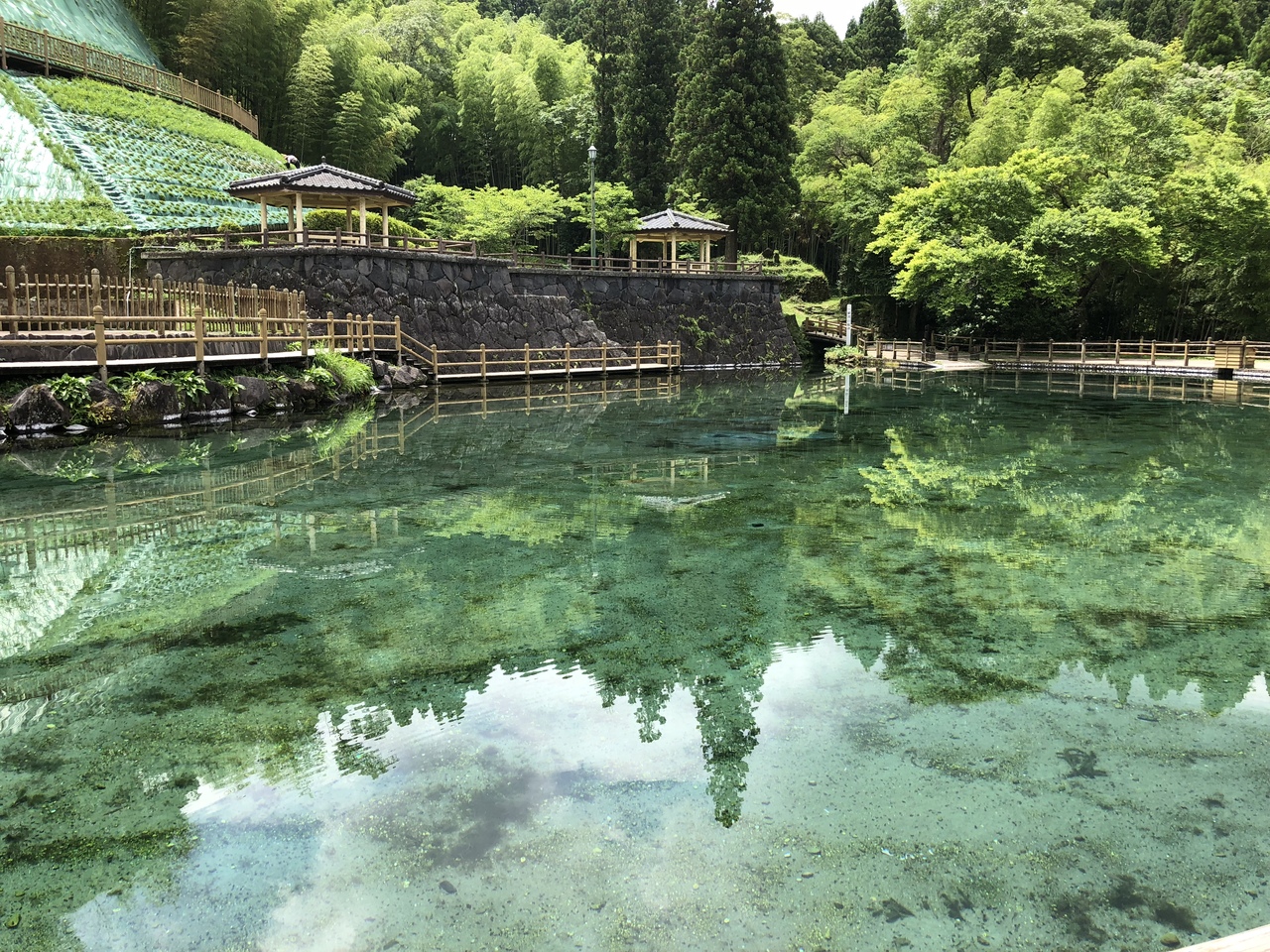 霧島山麓丸池湧水 クチコミガイド【フォートラベル】霧島温泉郷 霧島山麓丸池湧水 クチコミガイド【フォートラベル】霧島温泉郷