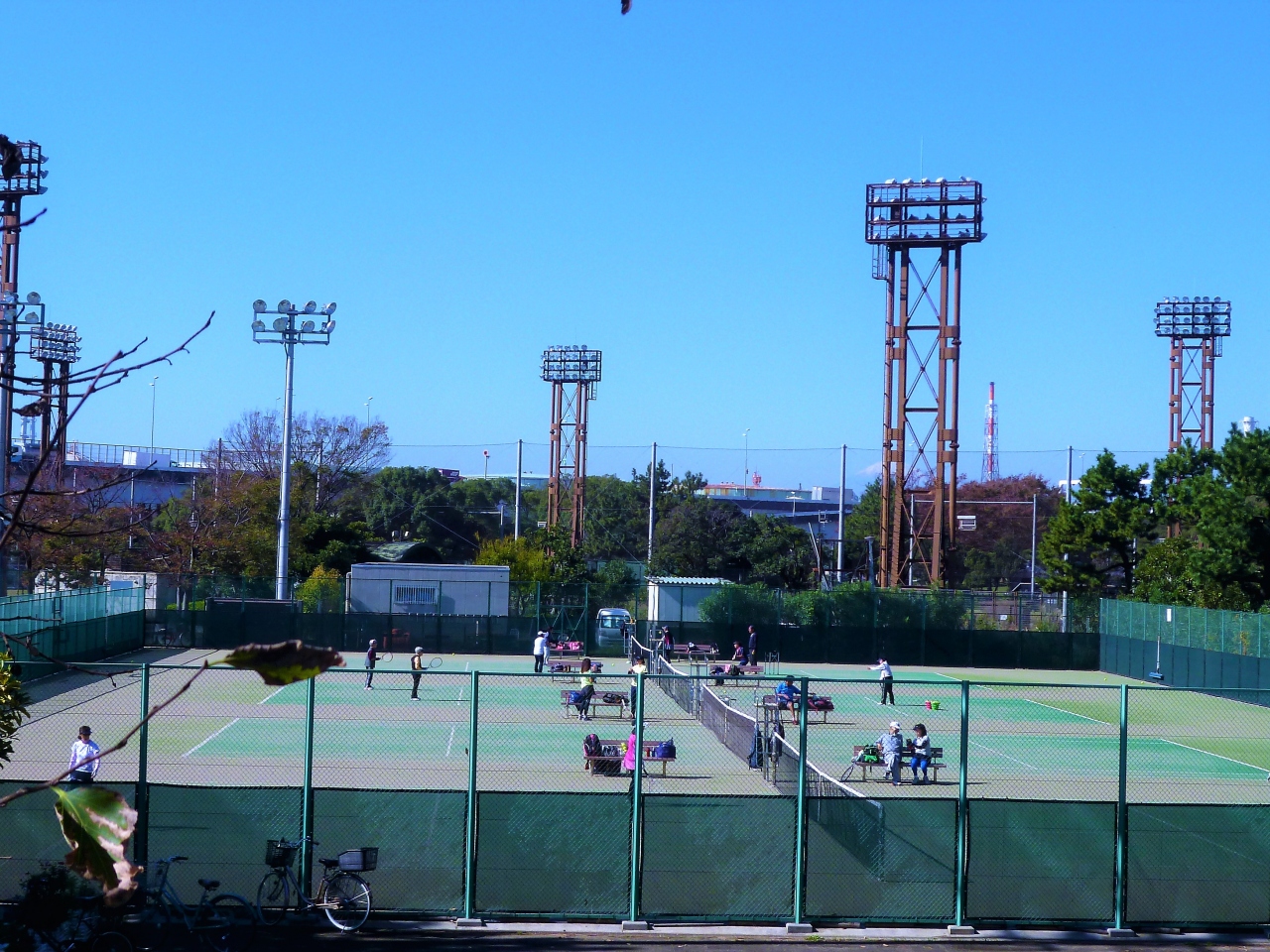 本牧市民公園 クチコミガイド【フォートラベル】本牧・根岸・磯子