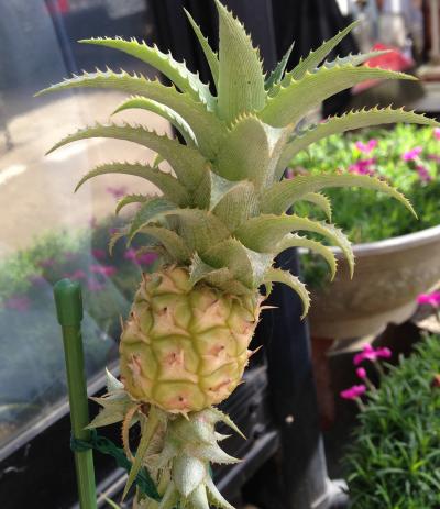 ちゃろふさんのトラベラーページ