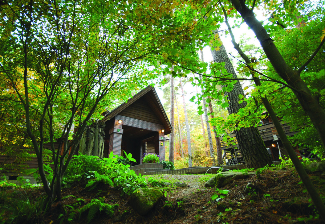 絵本美術館＆コテージ　森のおうち 写真