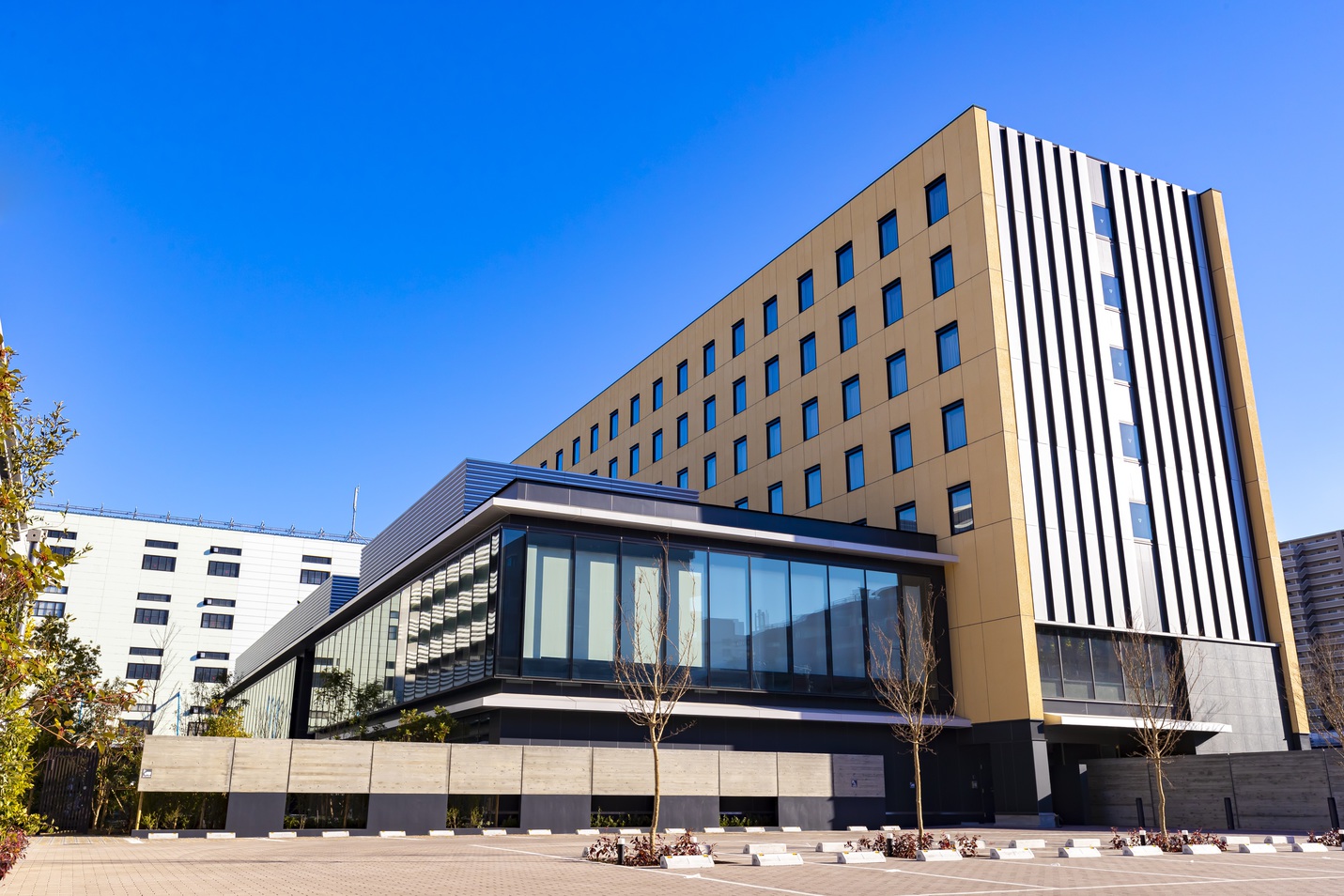 L stay＆grow南砂町 写真