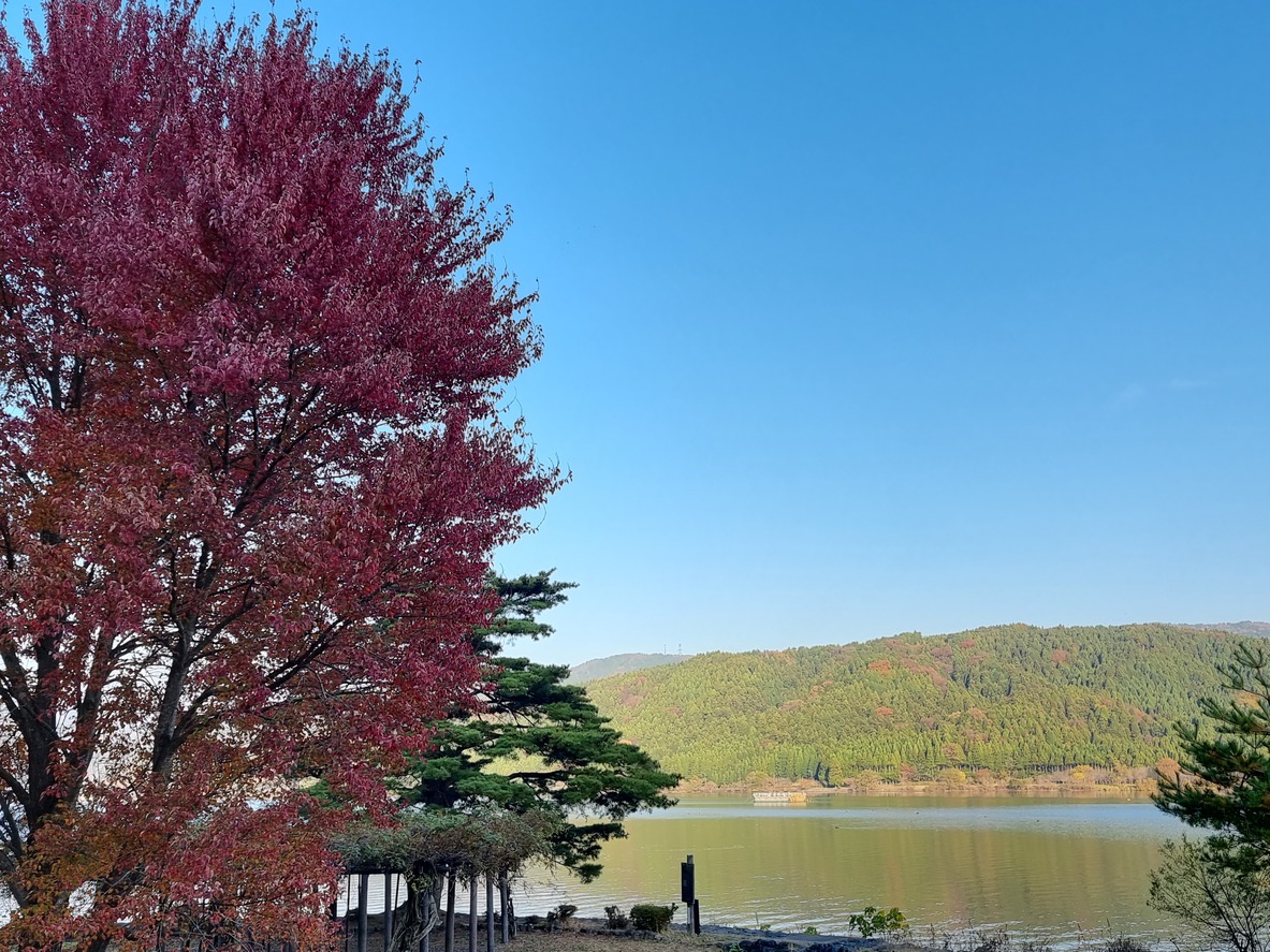 YOGO REST VILLA'S 写真
