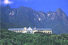 屋久島いわさきホテル
