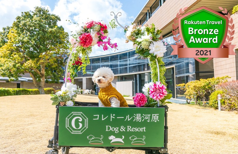 写真：楽天トラベル