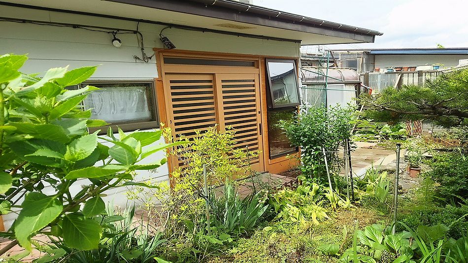 花栞 写真