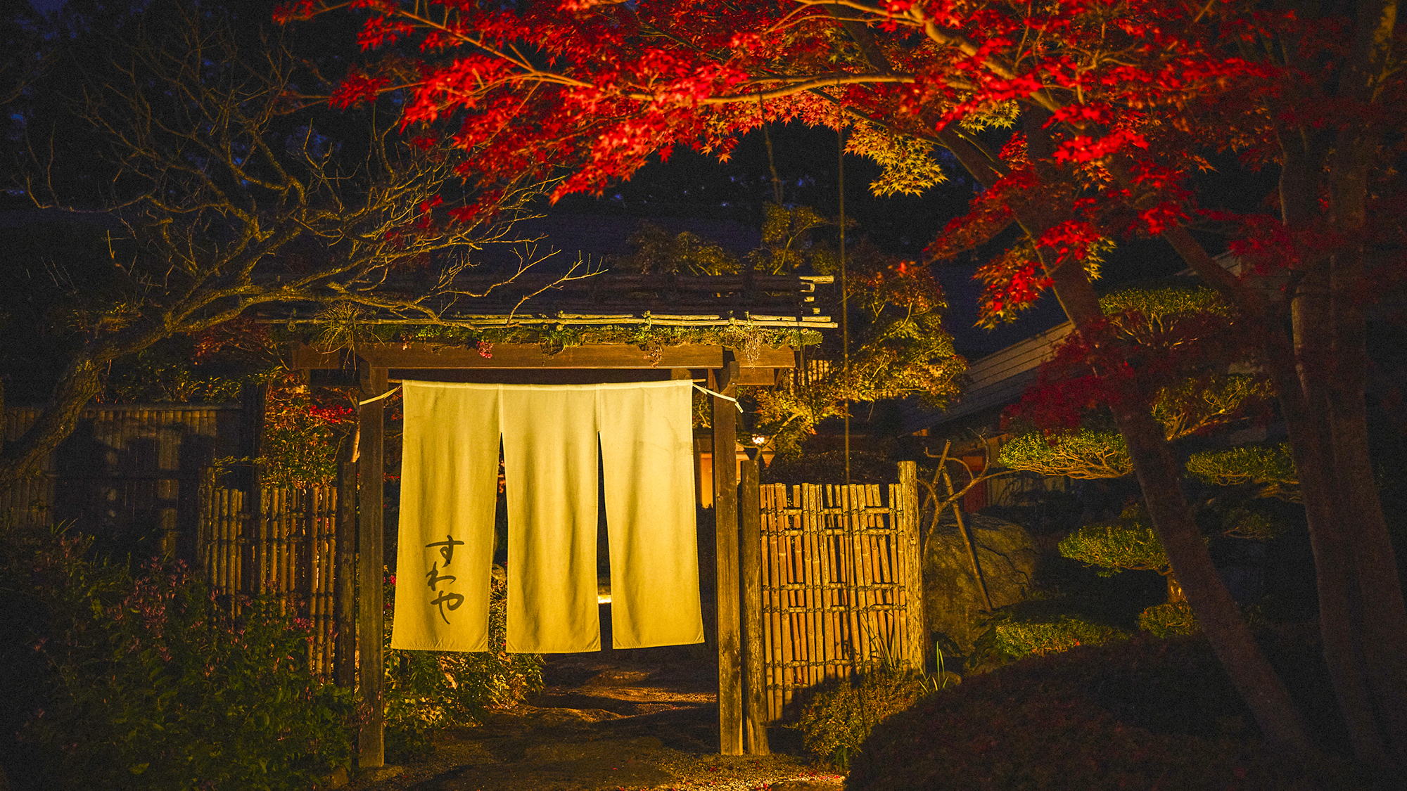 奥たまかわ温泉 すわや