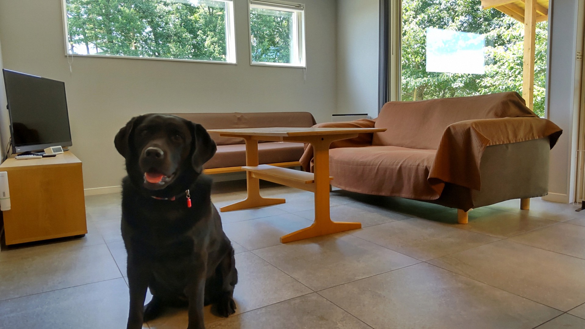 PRIVATE HOTEL WITH DOG 紡ぐ 結ぶ 写真