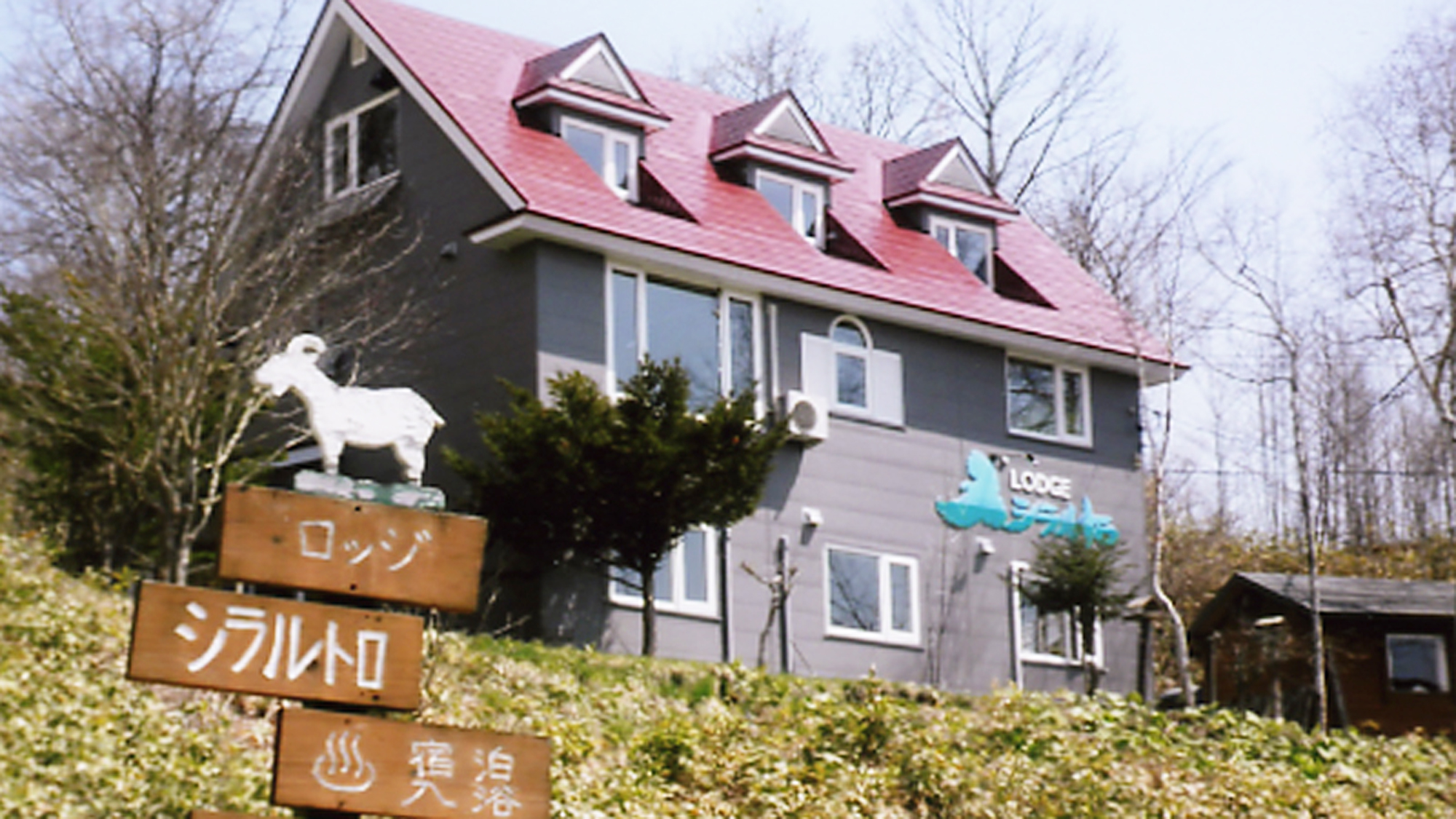 写真：楽天トラベル