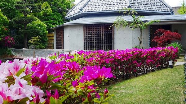 写真：楽天トラベル