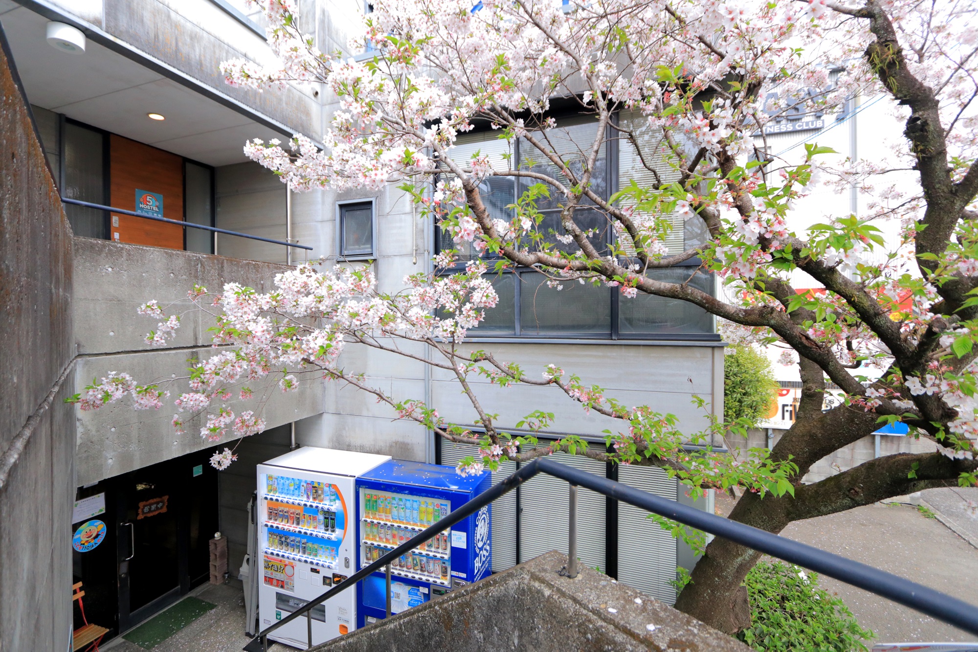 ホステルファイブ