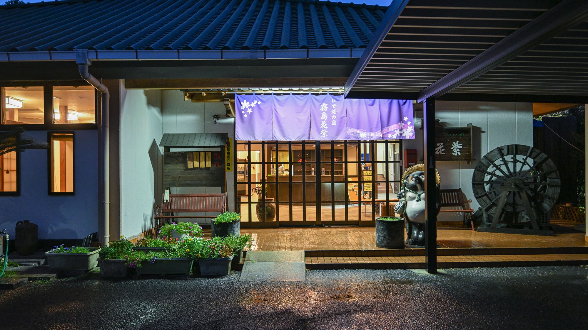 霧島花紫 写真