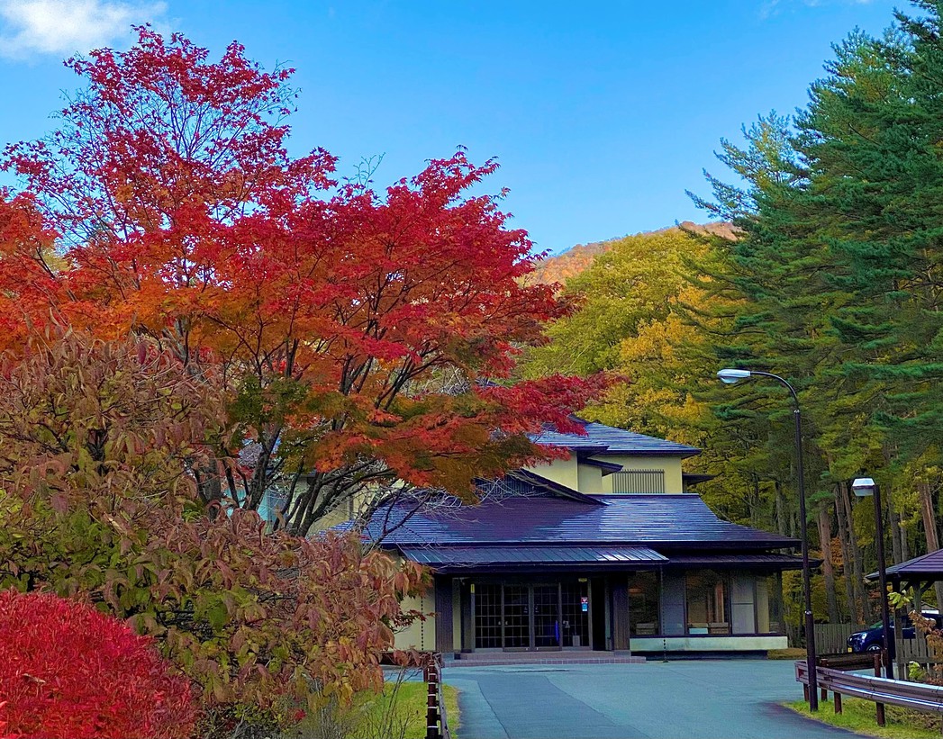 写真：楽天トラベル
