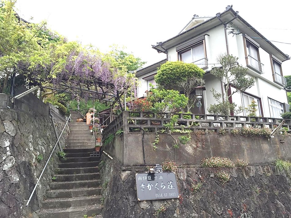 海鮮眺望の宿　さかくら荘 写真