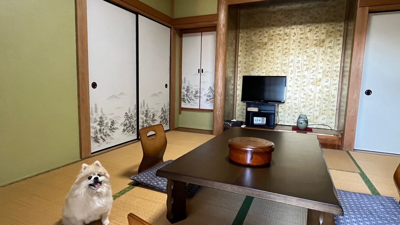 優鶴 写真