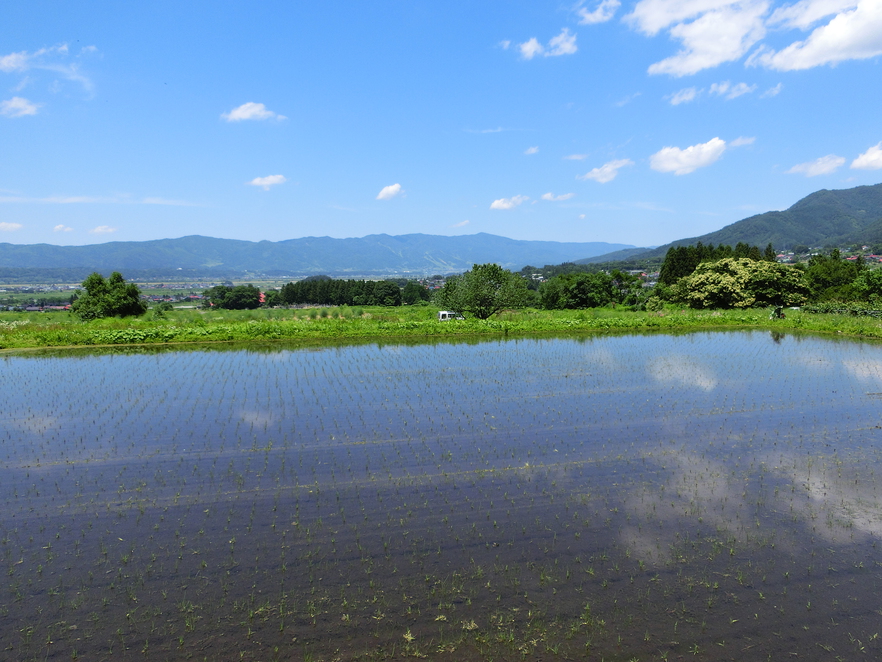 写真：楽天トラベル
