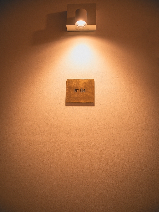 Camellia Complex 写真