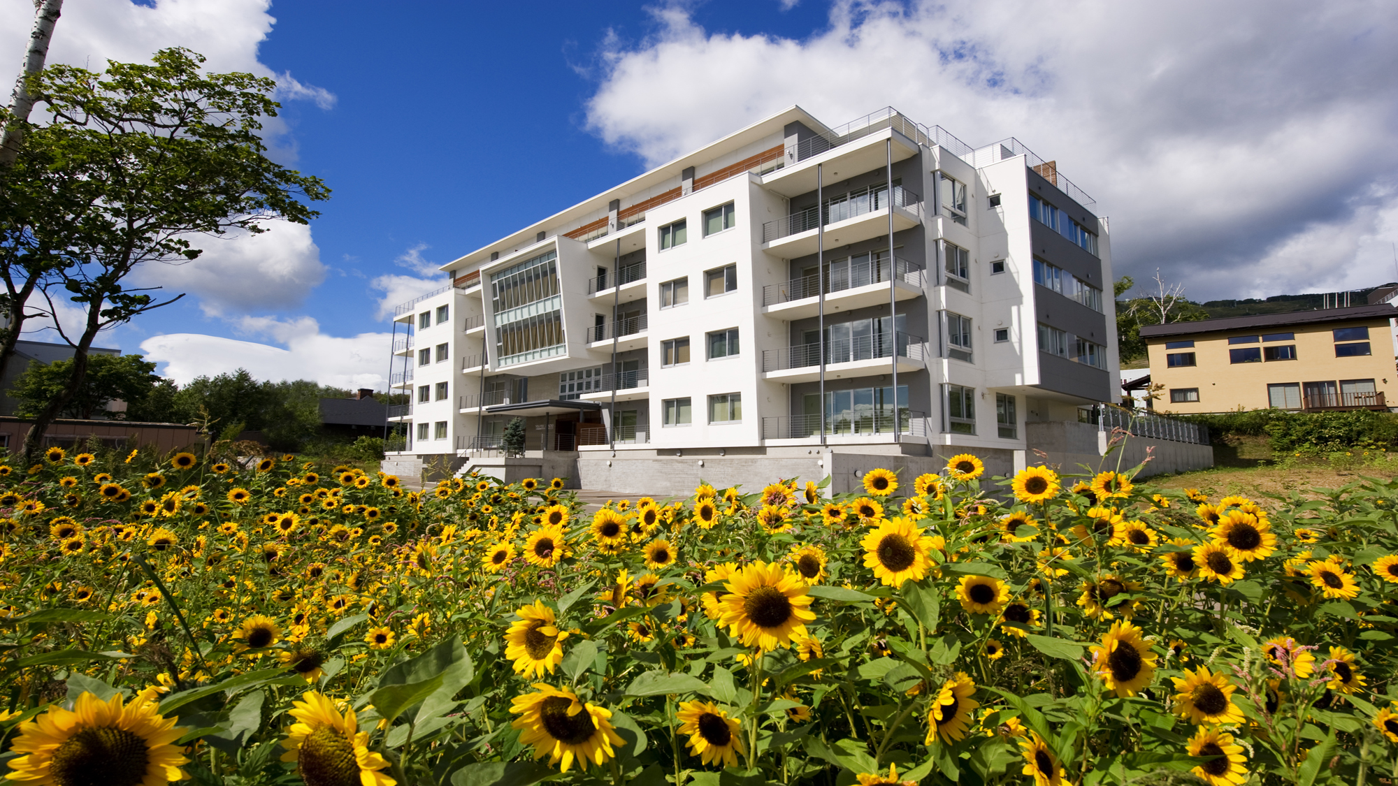 ニセコセントラル ヨウテイトラックス