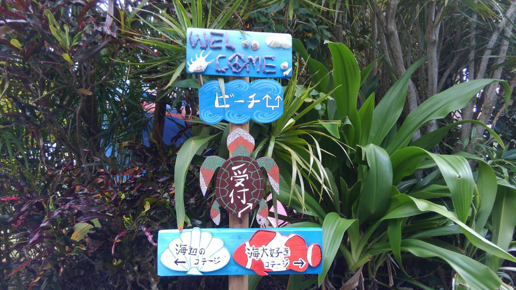 奄美海族塾　＜奄美大島＞ 写真