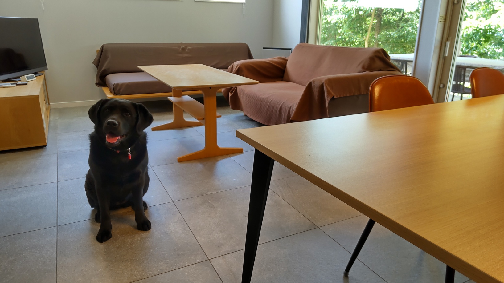 PRIVATE HOTEL WITH DOG 紡ぐ 結ぶ 写真
