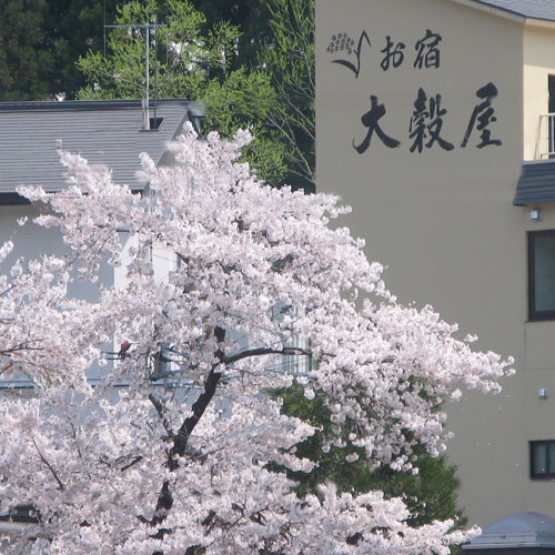 肘折温泉 お宿 大穀屋