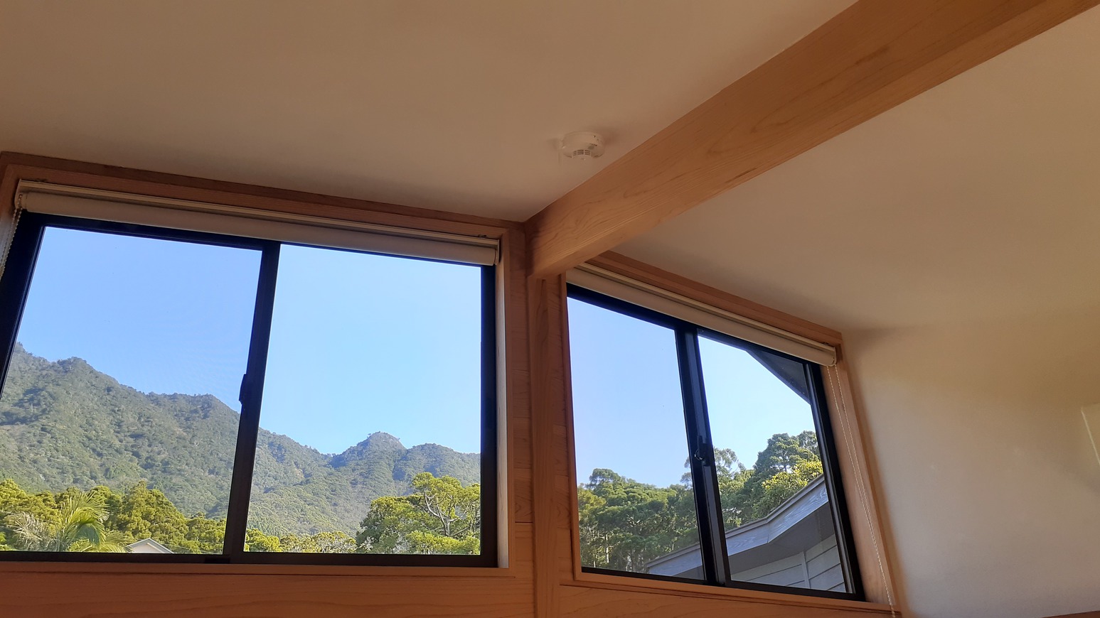 GUEST HOUSE VIEWS ＜屋久島＞ 写真