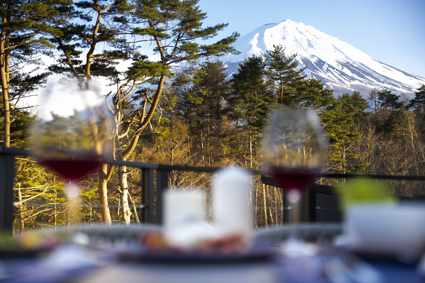 THE SENSE FUJI 写真