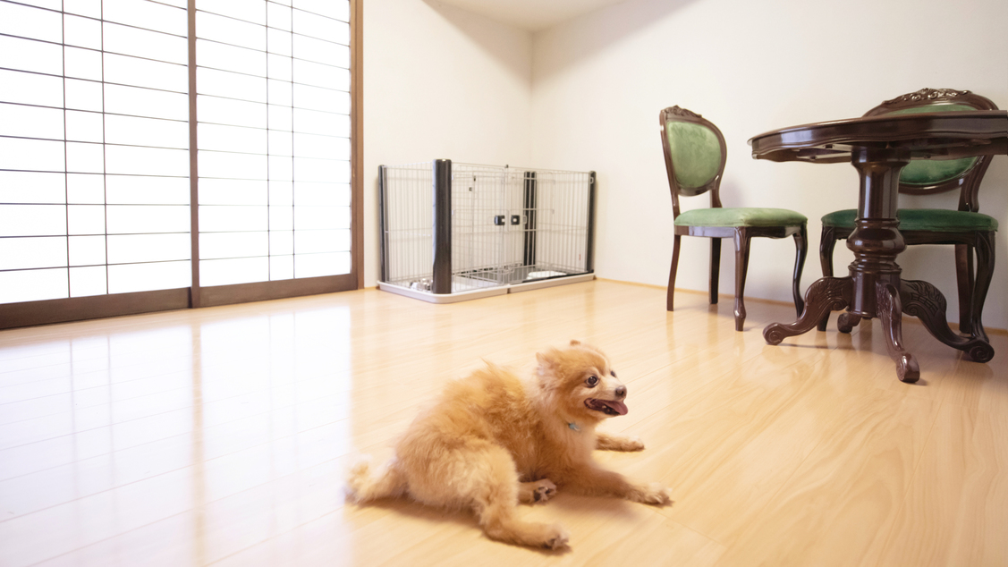 隠岐シーサイド岬＜隠岐諸島＞ 写真