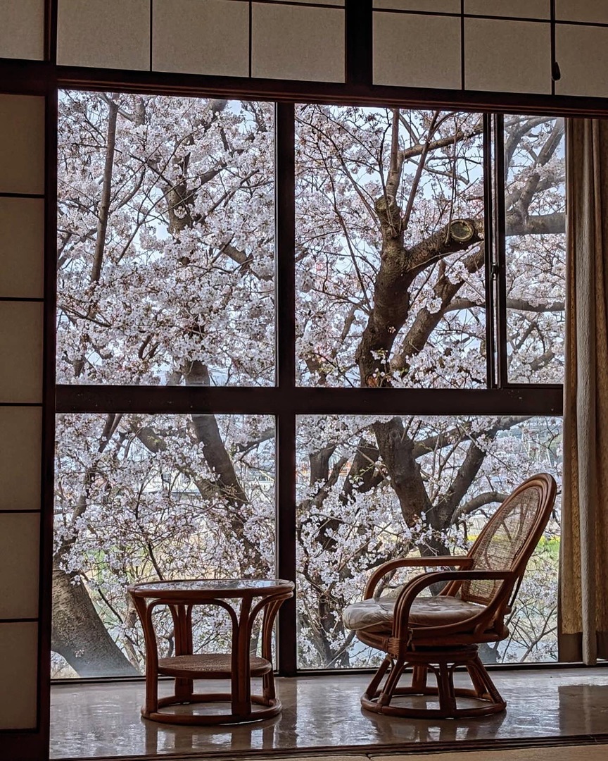 料理旅館 すし清 写真