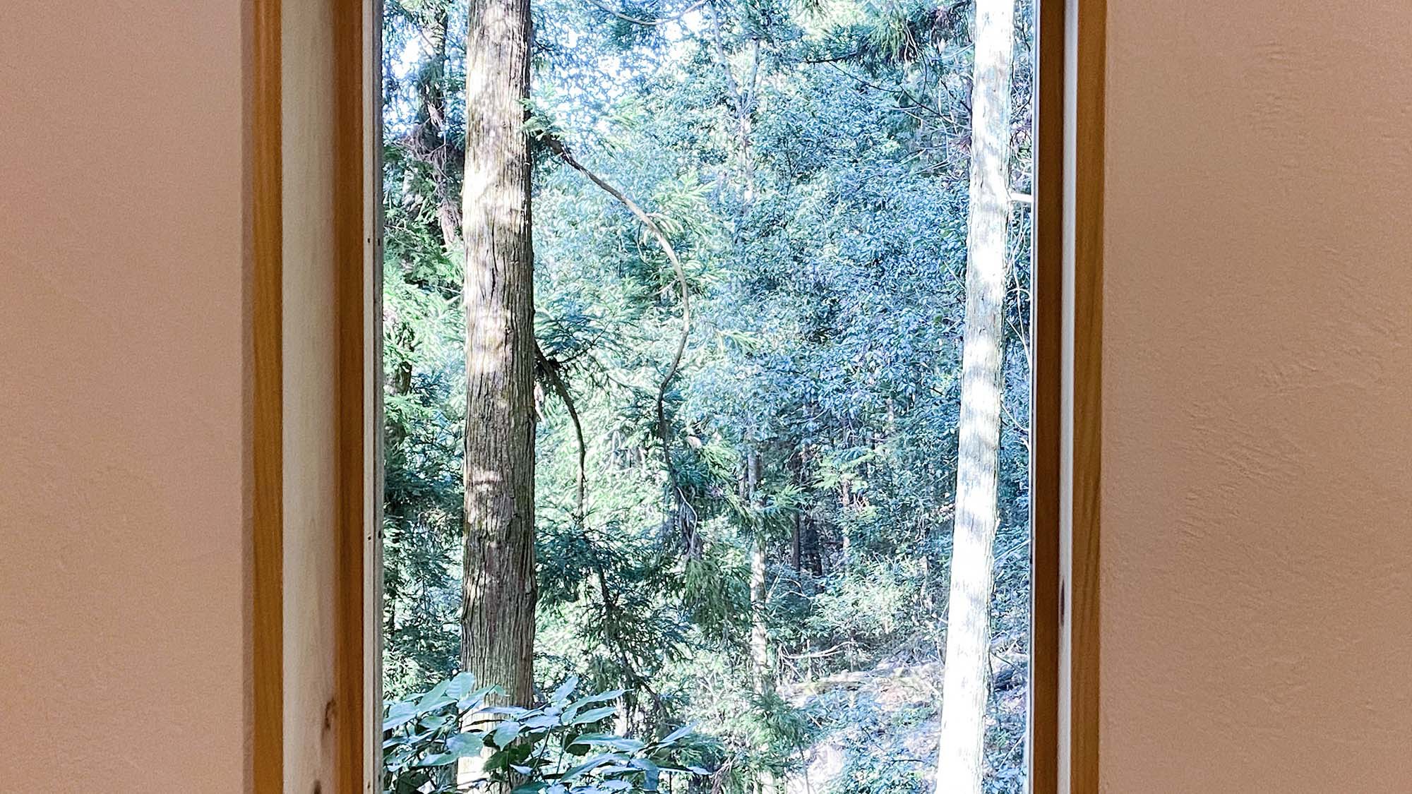 とようけのもり 写真