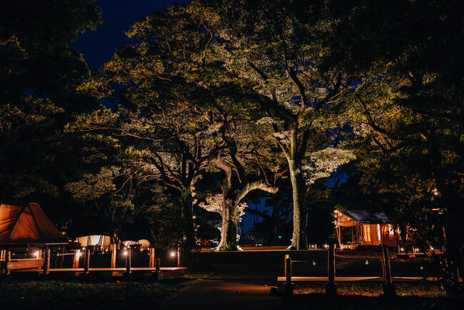 ASOHIMA PICNIC CLUB FOREST CAMP AREA 写真