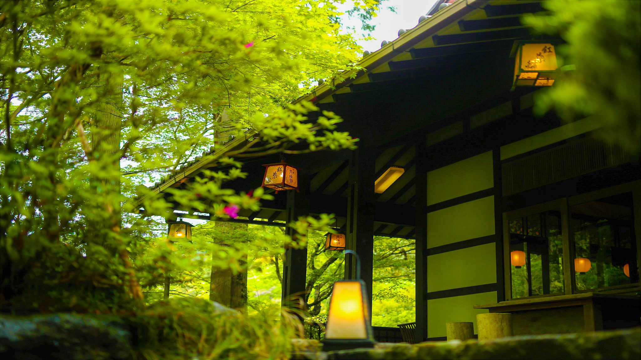写真：楽天トラベル
