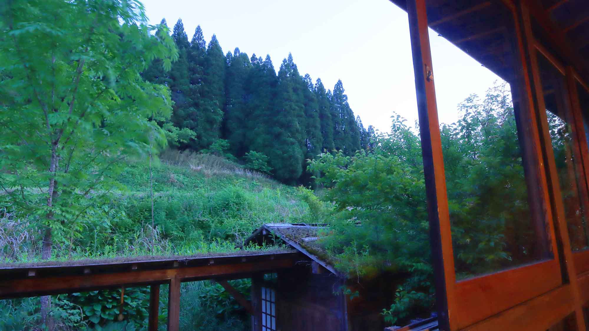 宝泉寺温泉　旅館　やひろ 写真