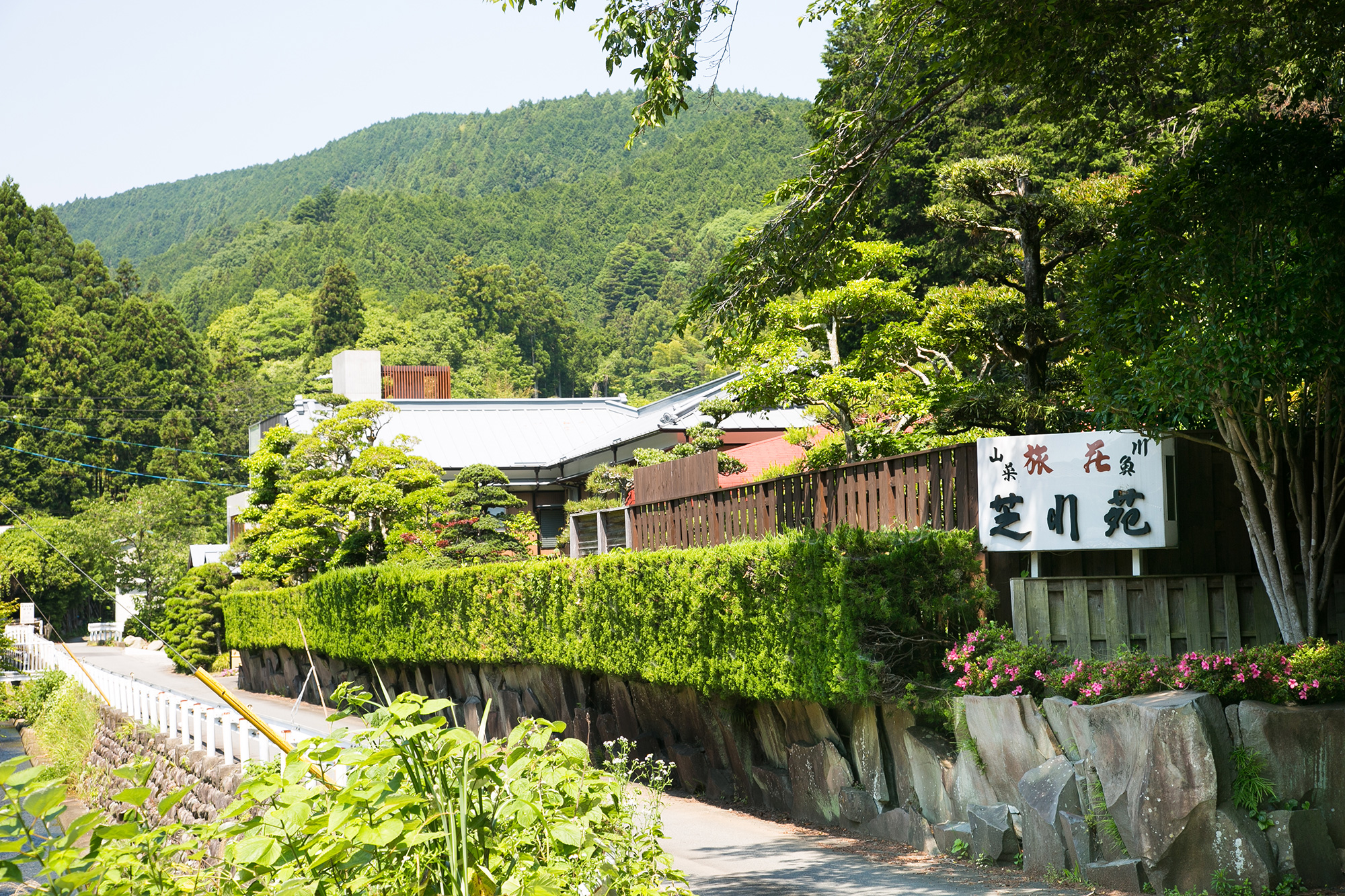 温泉旅館 芝川苑 写真