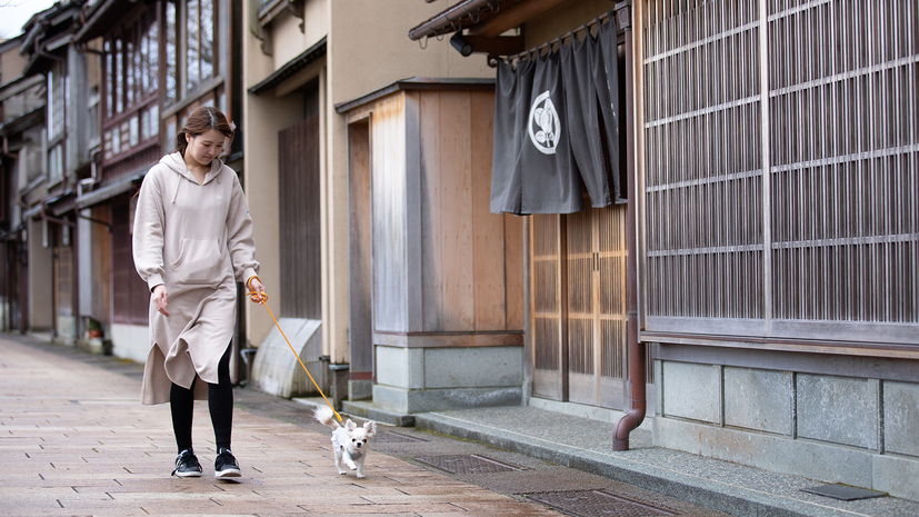 写真：楽天トラベル