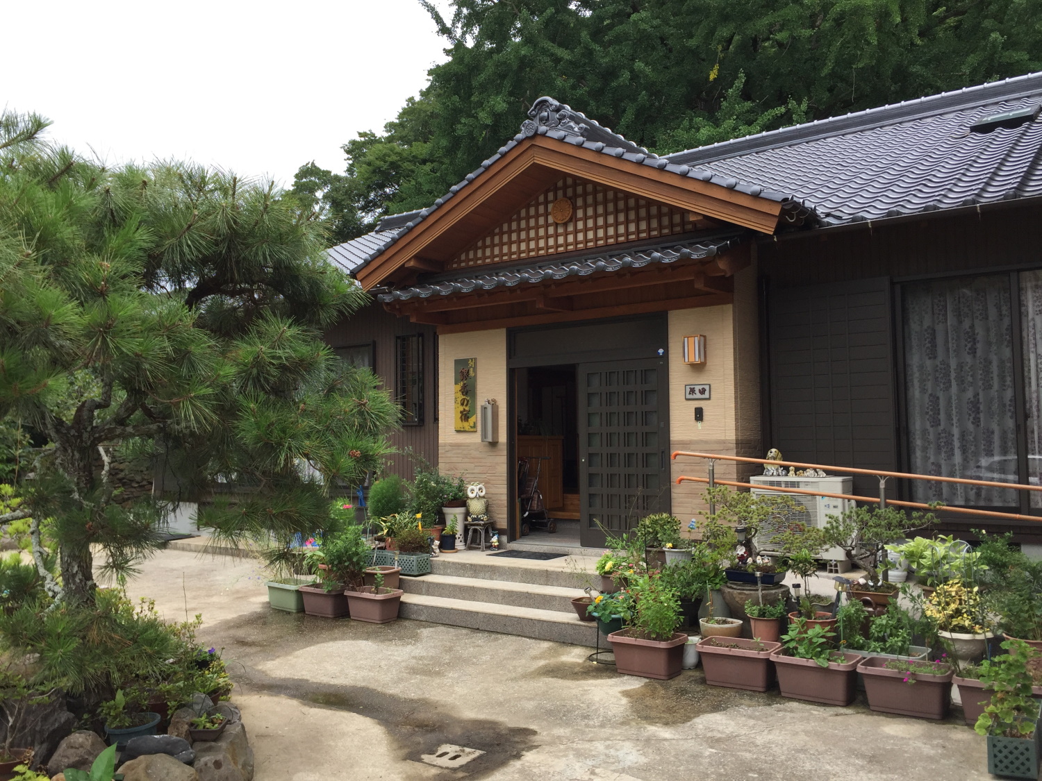 銀杏の宿＜対馬＞ 写真
