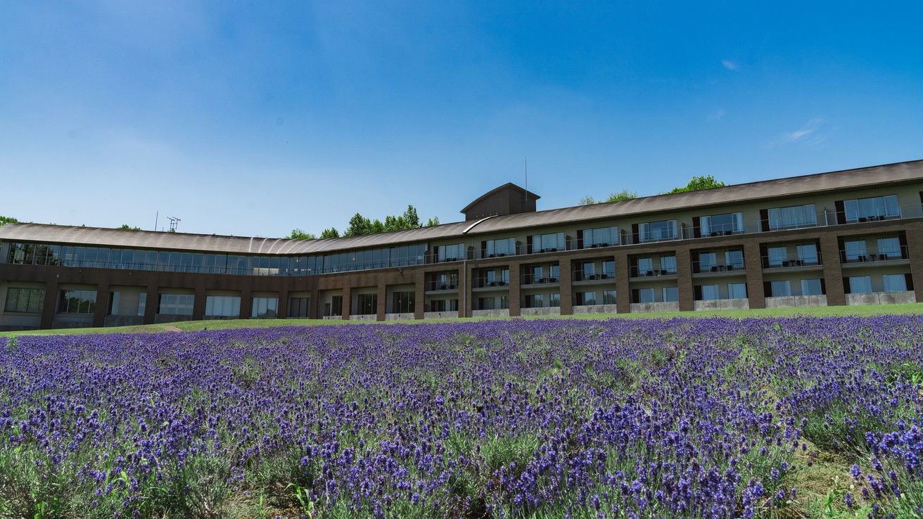 富良野ホテル FURANO HOTEL