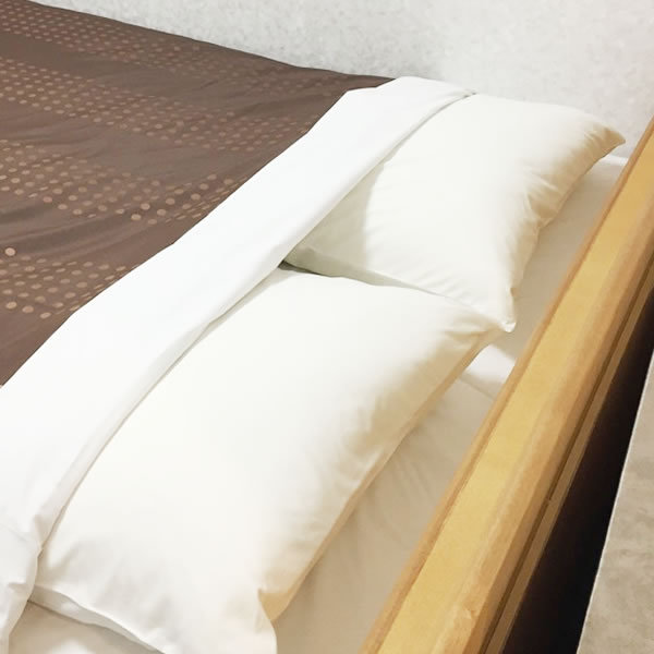 ホテルトレンド旭川 写真
