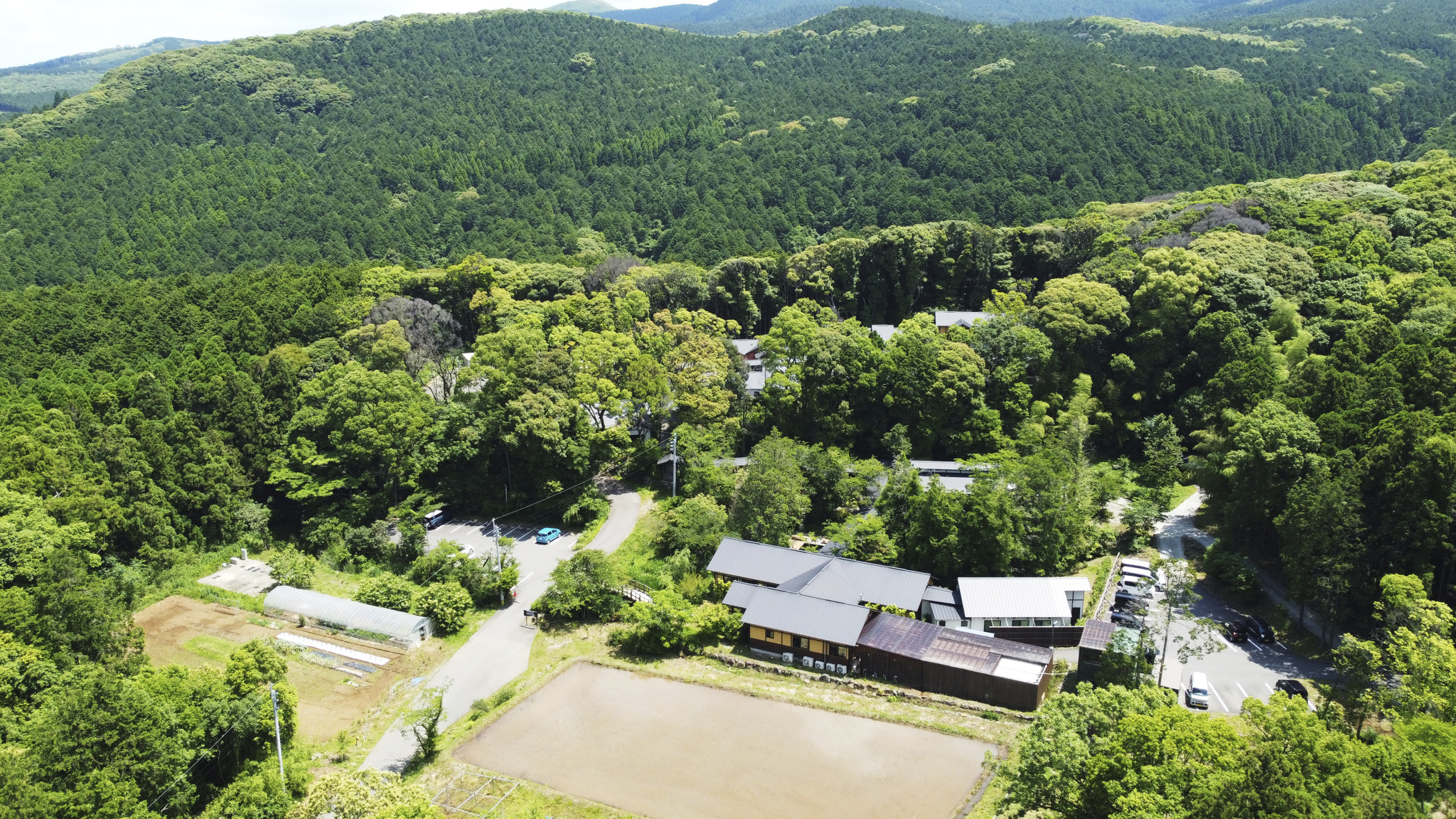 そのぎ茶温泉里山の湯宿 つわぶきの花