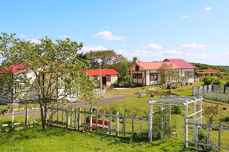 ハートン ツリー