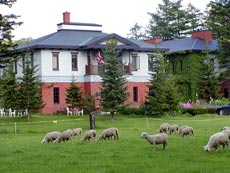 YORKSHIRE FARM (ヨークシャーファーム)