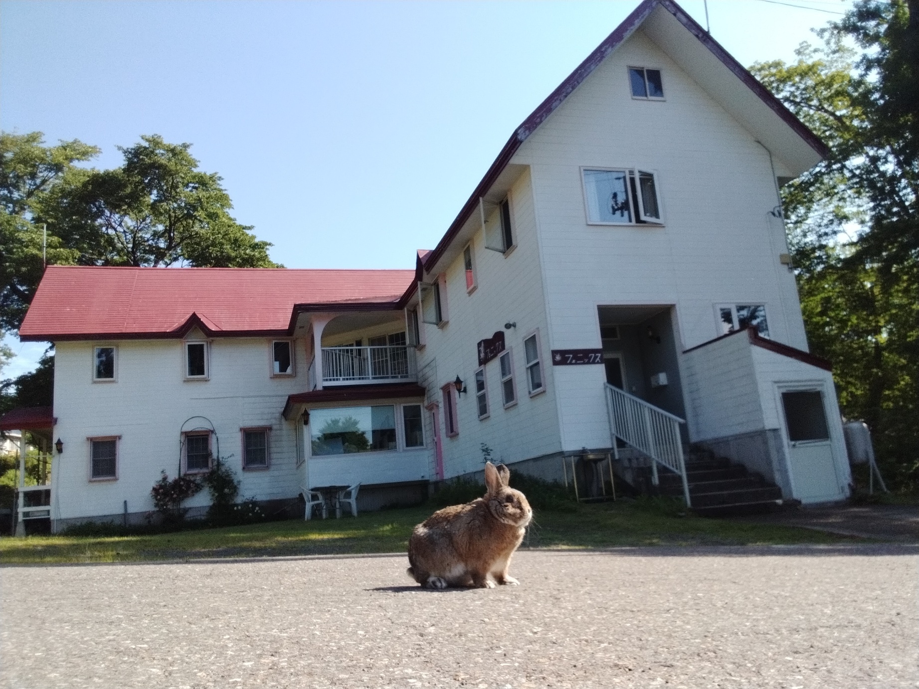 ペンション フェニックス