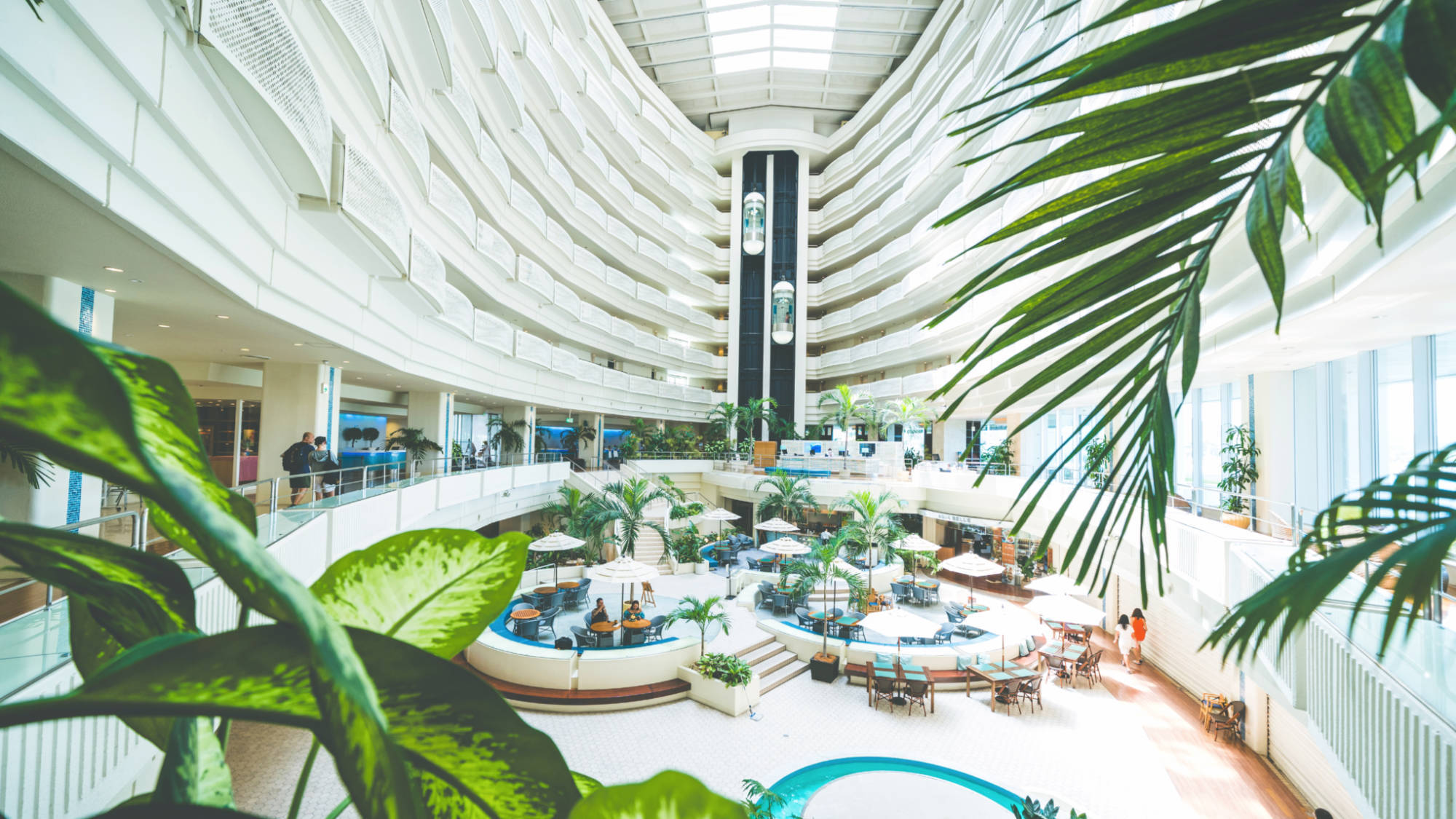 写真：楽天トラベル