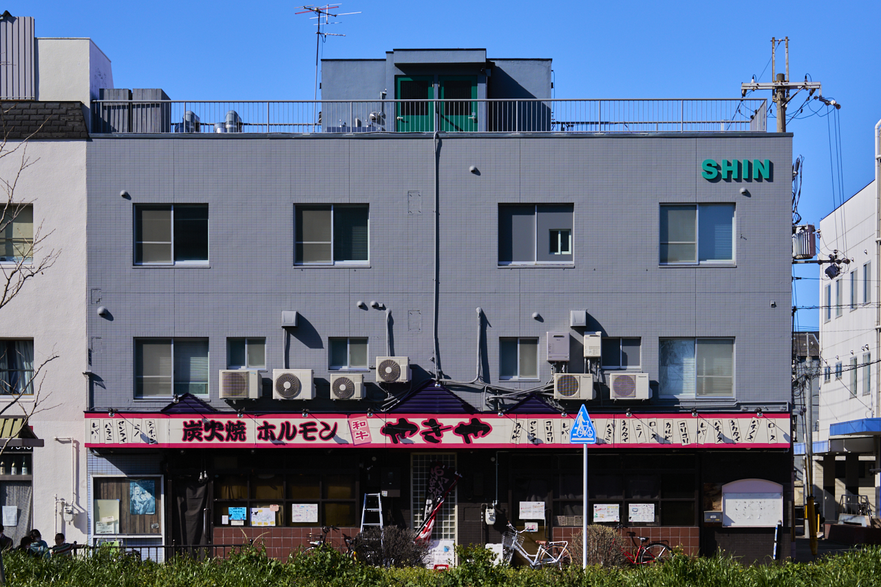 SHIN