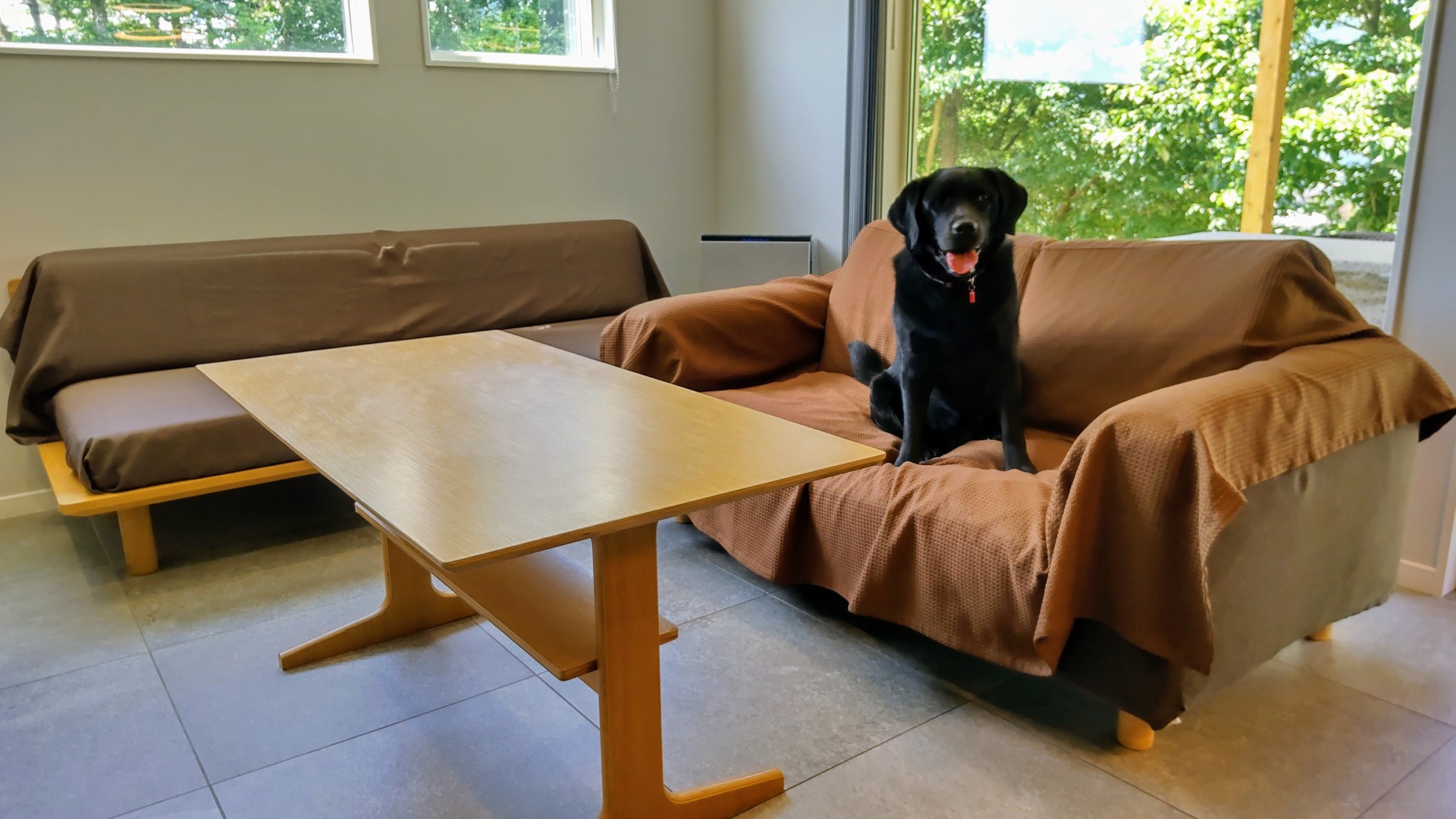 PRIVATE HOTEL WITH DOG 紡ぐ 結ぶ 写真