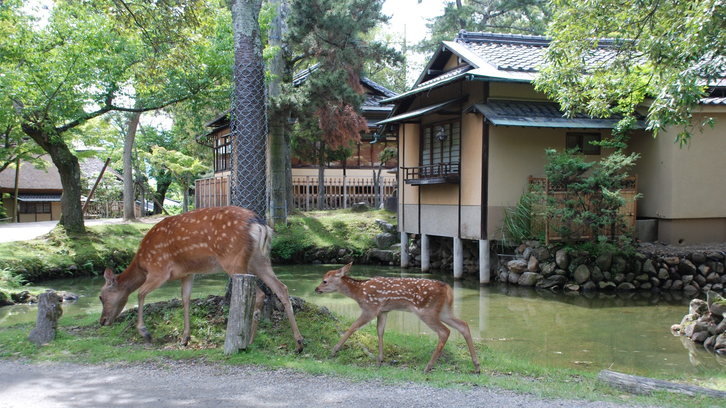 江戸三 写真